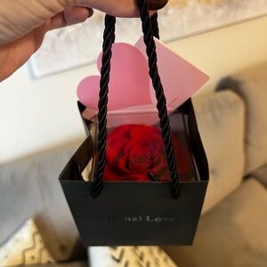 Eternal Love Red Rose and necklace with Love you words in 100 languages 💕